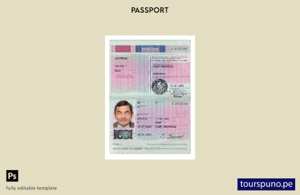 Listo para imprimir la plantilla actual del pasaporte de Alemania